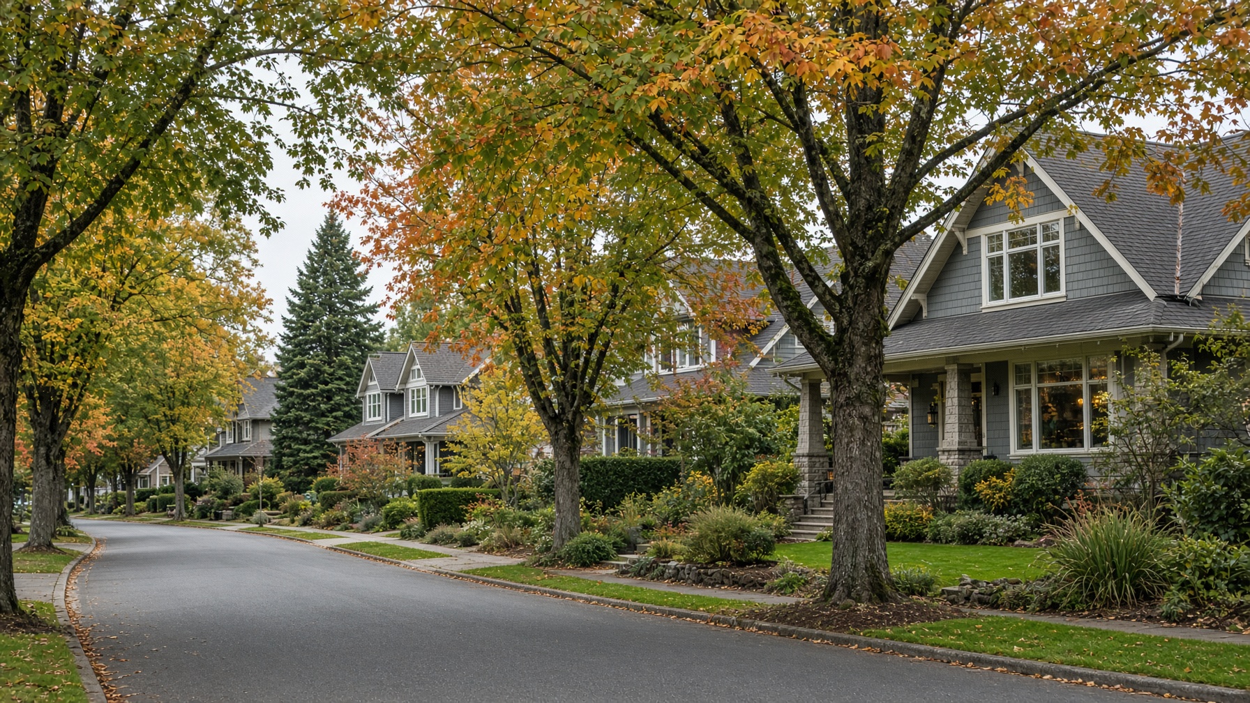 Tree-lined street of homes in the region we serve